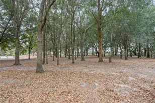 1424 S US 301, Sumterville, FL 33585 - Photo 31