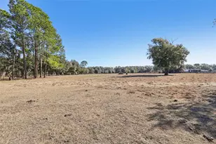 518 Cr 312, Bushnell, FL 33513 - Photo 47
