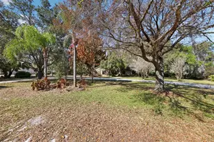 29205 Old Mill E, Tavares, FL 32778 - Photo 41