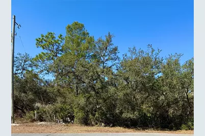 Lot 7 Shady Rose Court, Eustis, FL 32736 - Photo 7