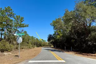 Lot 7 Shady Rose Ct, Eustis, FL 32736 - Photo 1