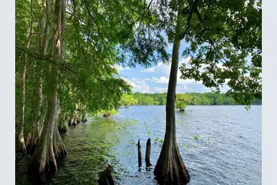 Lot 7 Shady Rose Court, Eustis, FL 32736 - Photo 19