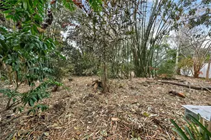 12244 Delaware Woods Ln, Orlando, FL 32824 - Photo 53