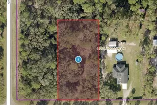 30553 Saffron Ave, Eustis, FL 32736 - Photo 1