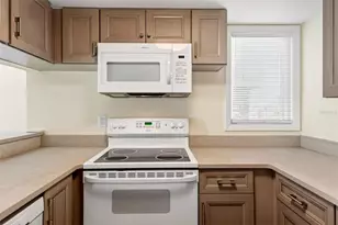 1051 S Highland St, Mount Dora, FL 32757 - Photo 33