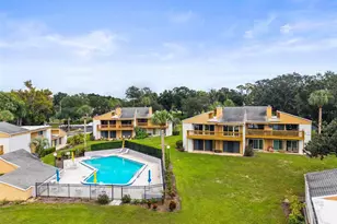 1051 S Highland St, Mount Dora, FL 32757 - Photo 45