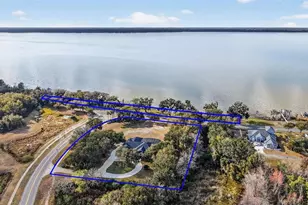 2898 Ann Rou Rd, Tavares, FL 32778 - Photo 61