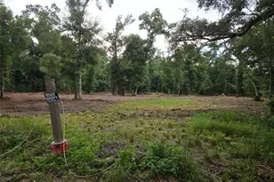 40th, Webster, FL 33597 - Photo 1