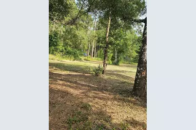 40th, Webster, FL 33597 - Photo 3