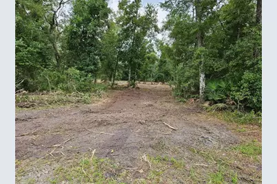 40th, Webster, FL 33597 - Photo 3