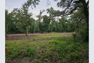 40th, Webster, FL 33597 - Photo 7