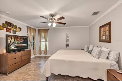 26925 White Plains Way, Leesburg, FL 34748 - Photo 11