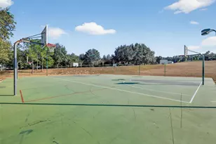 6304 Rolden Ct, Mount Dora, FL 32757 - Photo 31