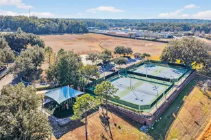 6304 Rolden Ct, Mount Dora, FL 32757 - Photo 29