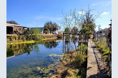 926 Cr 467, Lake Panasoffkee, FL 33538 - Photo 3