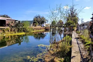 926 Cr 467, Lake Panasoffkee, FL 33538 - Photo 3