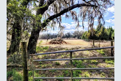 14240 Sr 471, Webster, FL 33597 - Photo 35