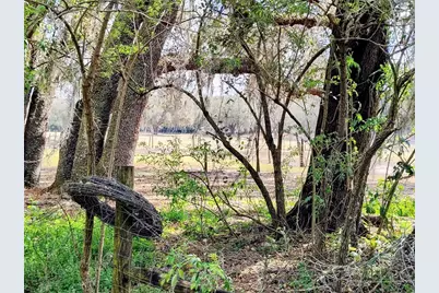 14240 Sr 471, Webster, FL 33597 - Photo 37