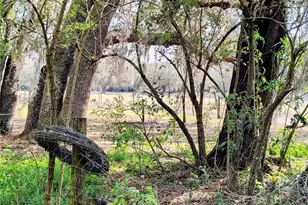 14240 Sr 471, Webster, FL 33597 - Photo 37