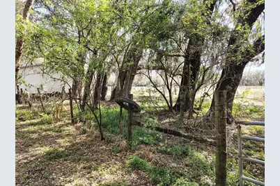 14240 Sr 471, Webster, FL 33597 - Photo 33