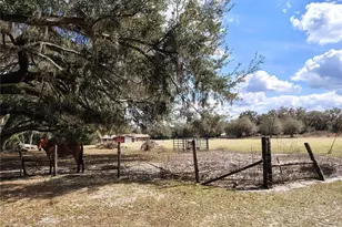 14240 Sr 471, Webster, FL 33597 - Photo 47