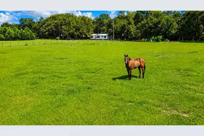 14240 Sr 471, Webster, FL 33597 - Photo 1