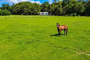 14240 Sr 471, Webster, FL 33597 - Photo 1