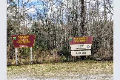 14240 Sr 471, Webster, FL 33597 - Photo 29