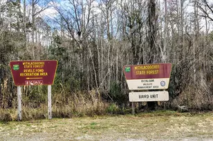 14240 Sr 471, Webster, FL 33597 - Photo 29