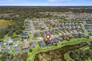 3218 Zipperer Wy, The Villages, FL 32163 - Photo 57