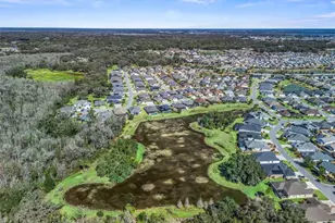 3218 Zipperer Wy, The Villages, FL 32163 - Photo 59