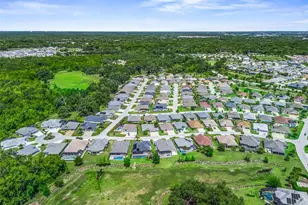 3218 Zipperer Wy, The Villages, FL 32163 - Photo 59