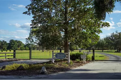 Blue Bird Court SW, Fort White, FL 32038 - Photo 5