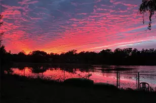 1219 Oak Dr, Leesburg, FL 34748 - Photo 29