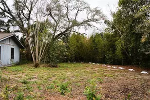 702 James Ave, Fruitland Park, FL 34731 - Photo 5