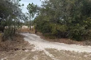 8309 N Odyssey Dr, Crystal River, FL 34428 - Photo 1