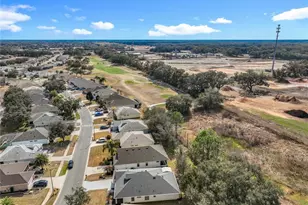 26815 White Plains Way, Leesburg, FL 34748 - Photo 47
