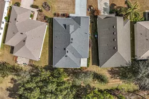 26815 White Plains Way, Leesburg, FL 34748 - Photo 49