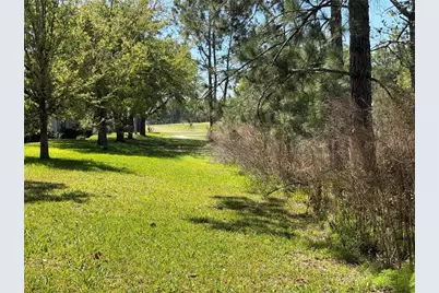 26815 White Plains Way, Leesburg, FL 34748 - Photo 51