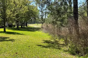 26815 White Plains Way, Leesburg, FL 34748 - Photo 51