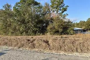 Tbd SE 102nd Terrace, Belleview, FL 34420 - Photo 1