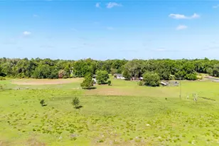 12237 Cr 727, Webster, FL 33597 - Photo 3