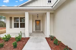 1543 Co Rd 243A, Wildwood, FL 34785 - Photo 3