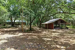 40635 Thomas Boat Landing Rd, Umatilla, FL 32784 - Photo 41