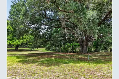 40635 Thomas Boat Landing Road, Umatilla, FL 32784 - Photo 11