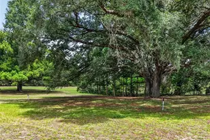 40635 Thomas Boat Landing Rd, Umatilla, FL 32784 - Photo 11