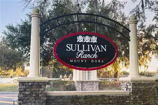 20900 Oldenburg Loop, Mount Dora, FL 32757 - Photo 41