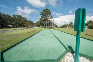 1605 Selkirk Dr, Leesburg, FL 34788 - Photo 39