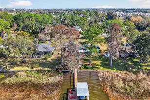 33225 Lakeshore Dr, Tavares, FL 32778 - Photo 43