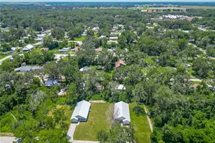 919 Cr 482C, Lake Panasoffkee, FL 33538 - Photo 47